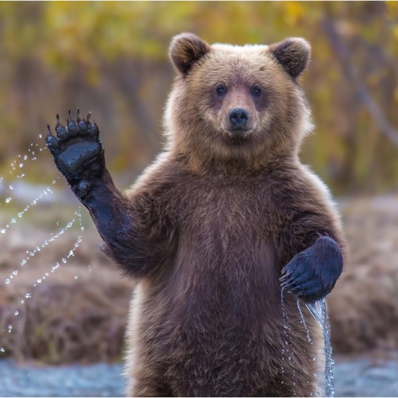 Meet your Posher, Marlena - Picture 1 of 1